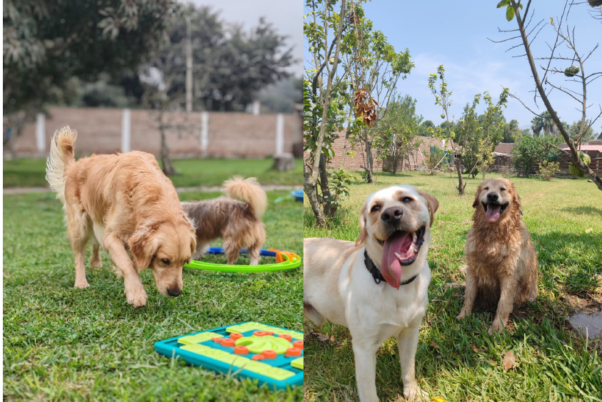 Entrenamiento al aire libre